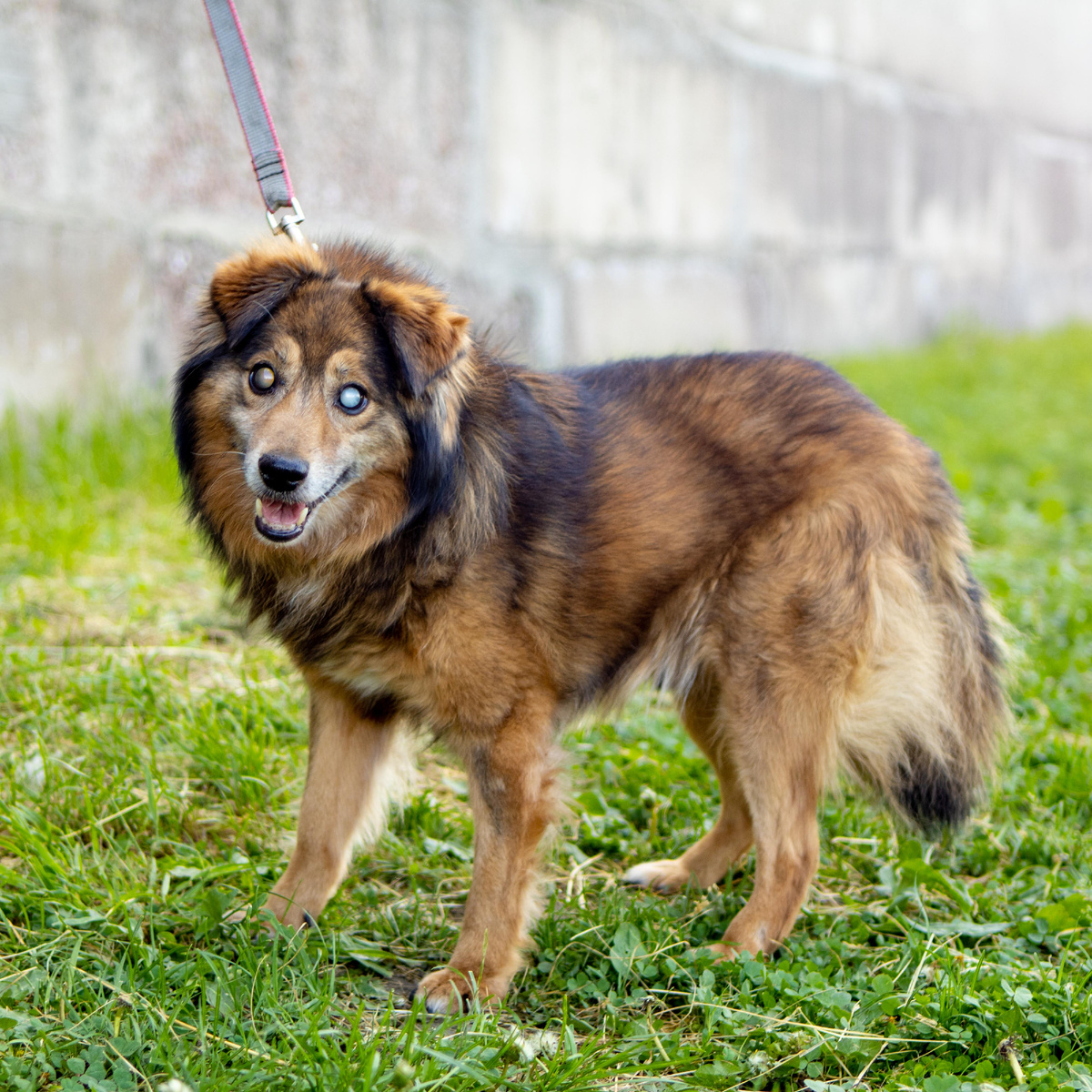 Главная боль — боль предательства — останется с ним навсегда. 