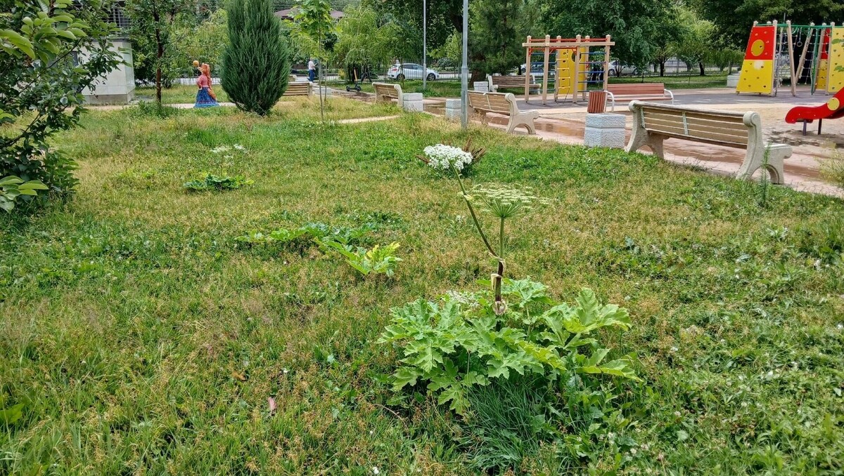     Источник: Читатели «НовостиВолгограда.ру»