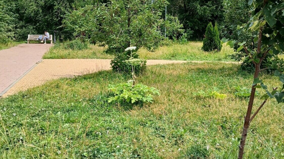     Источник: Читатели «НовостиВолгограда.ру»