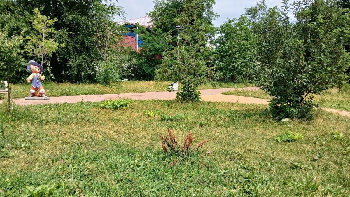     Источник: Читатели "НовостиВолгограда.ру"