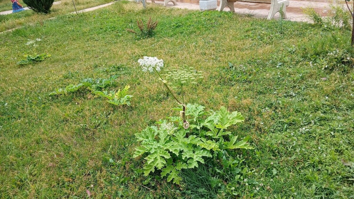     Источник: Читатели "НовостиВолгограда.ру"