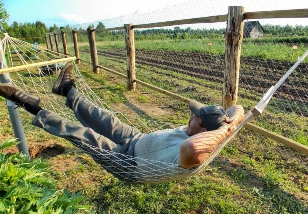 И всё то я в трудах, аки пчела. 