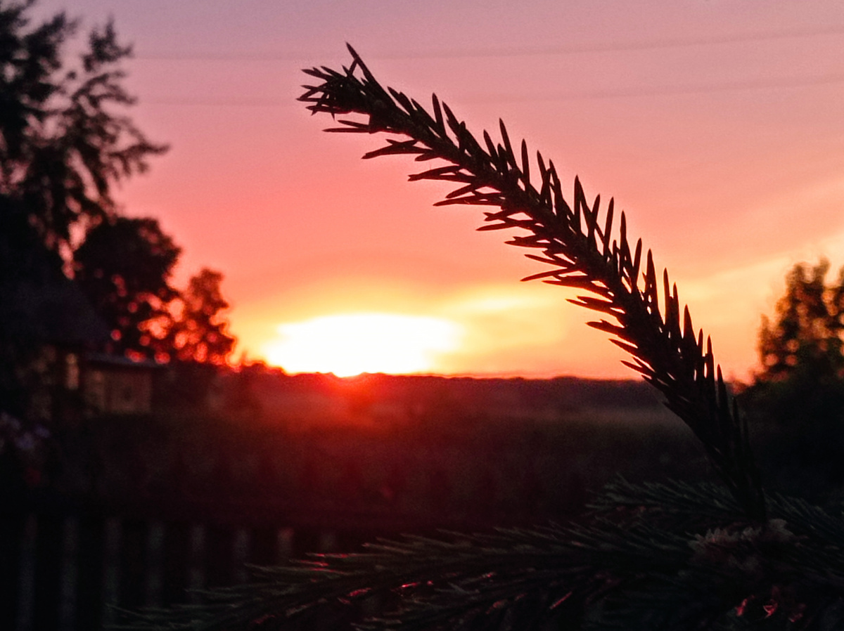 Чем не морской закат? 