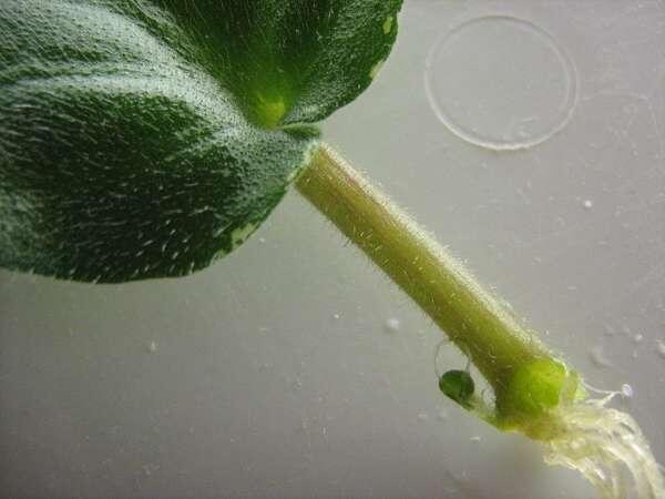 Фото из свободных источников