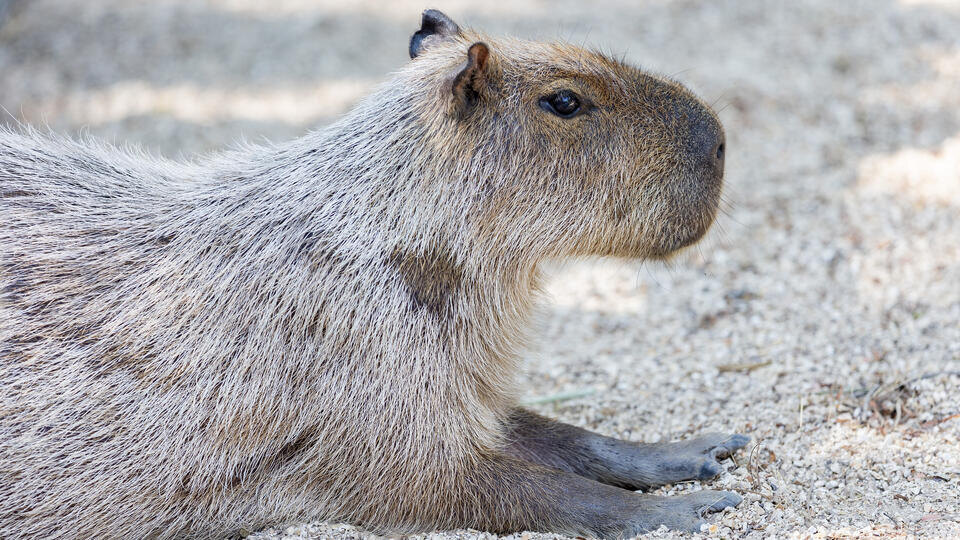 Фото: © www.globallookpress.com/Aleksey Smyshlyaev
