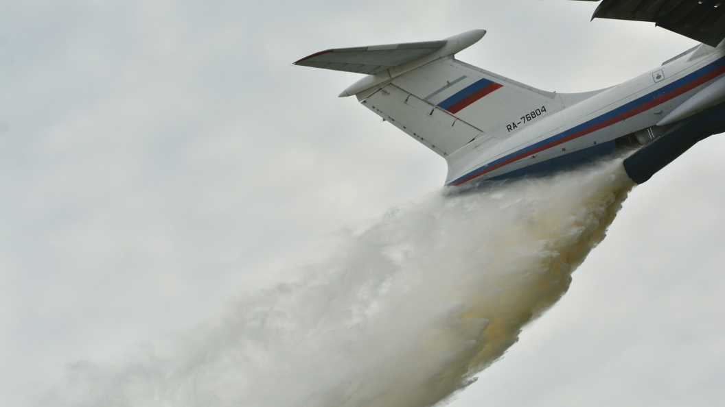    Фото: Pavel Kashaev/Globallookpress