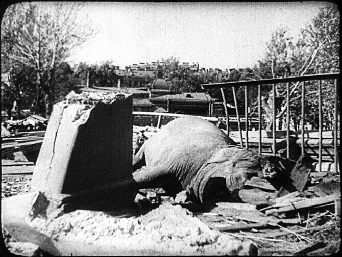 Из открытых источников сети интернет.