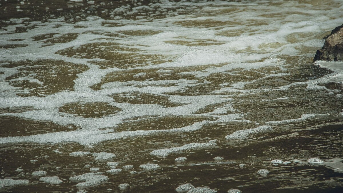     Источник: 1MI