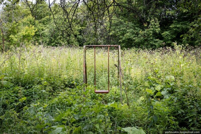    Telegram-канал Андрея Альшевских