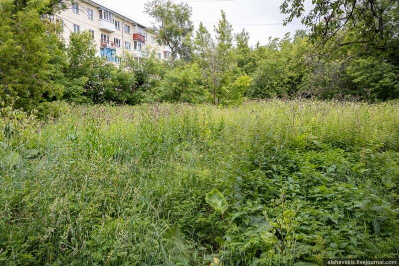    Telegram-канал Андрея Альшевских