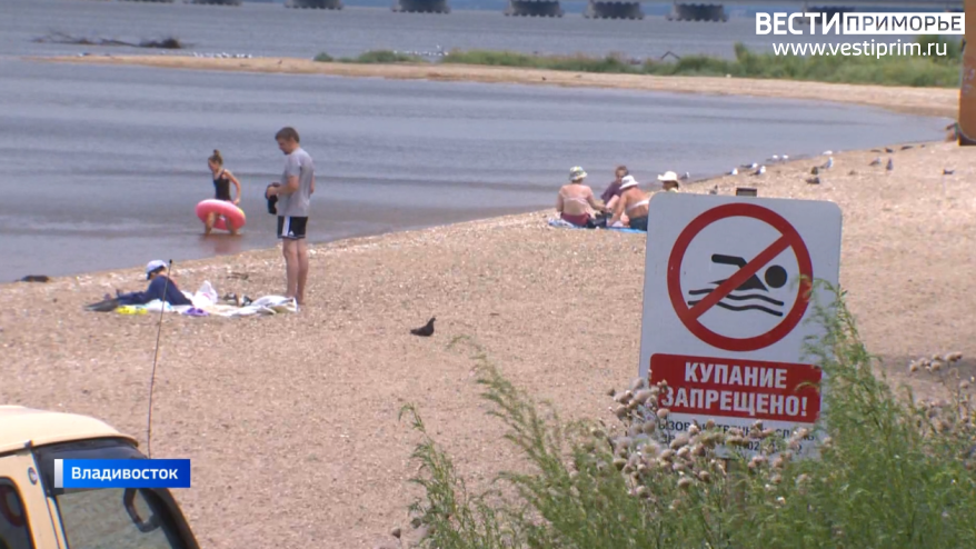    Источник фото: "Вести: Приморье", пресс-служба УМВД России по Приморскому краю