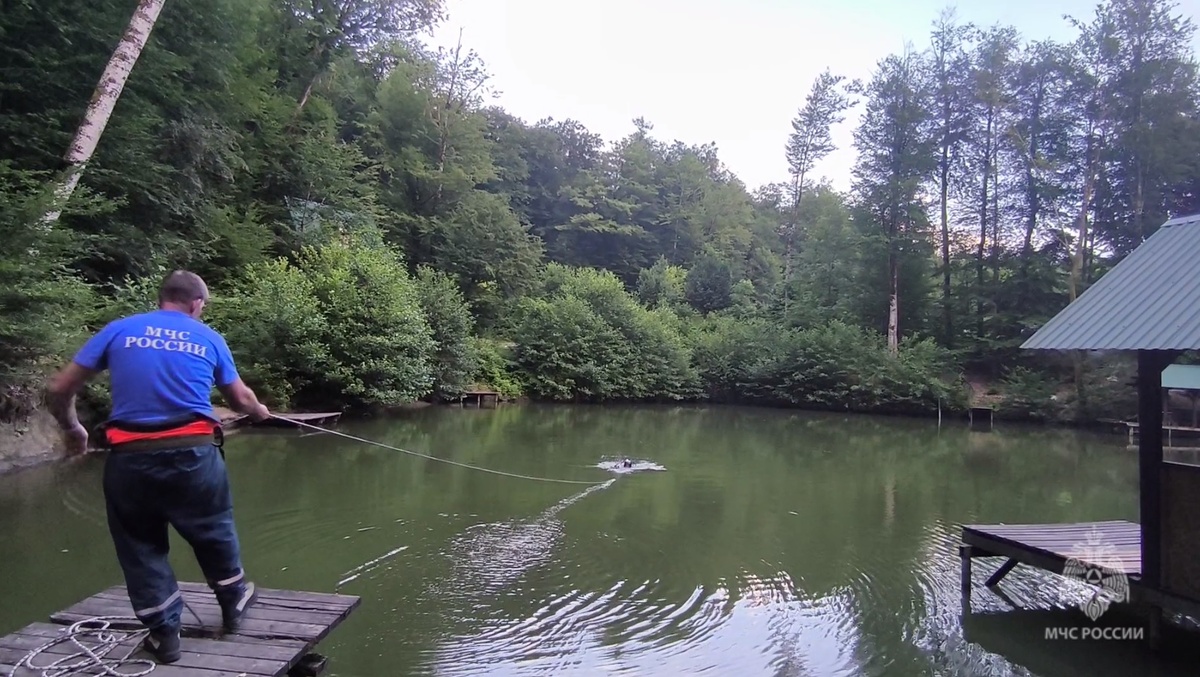 Фото: пресс-служба ЮРПСО МЧС России  📷
