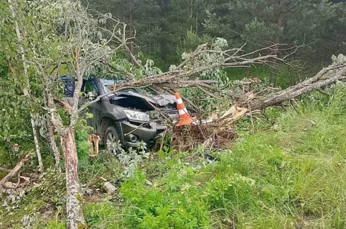    Водитель чудом уцелела в массовой аварии на калужской автодороге