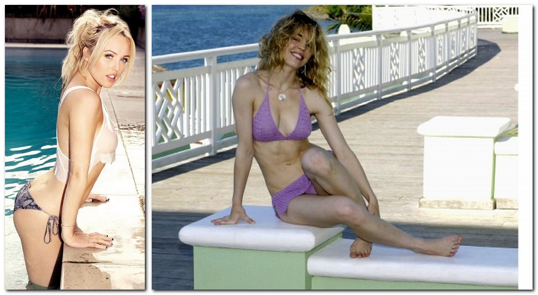 Фото из свободных источников.