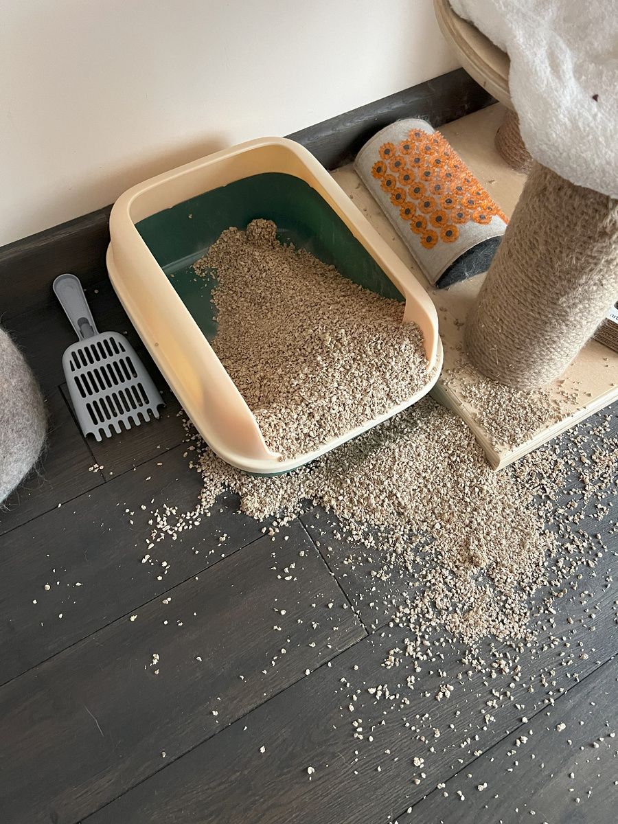 Порой из-за того что в лотке грязно, кошки начинают еще более рьяно зарывать свои фекалии 