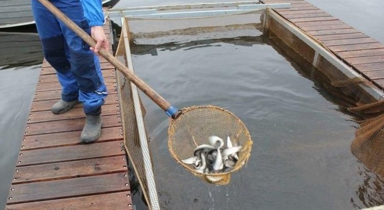    Фото: Правительство Свердловской области