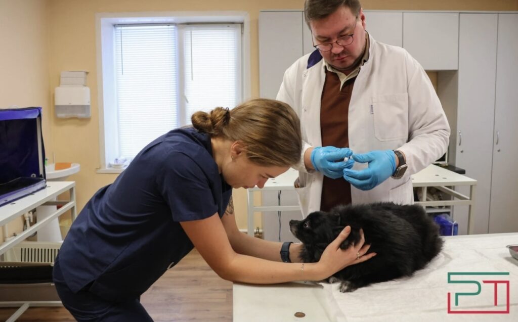 Фото Юлии Бидун, «РТ»