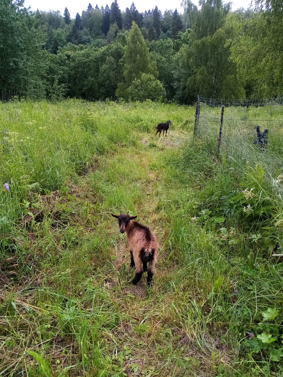 Фото автора. 