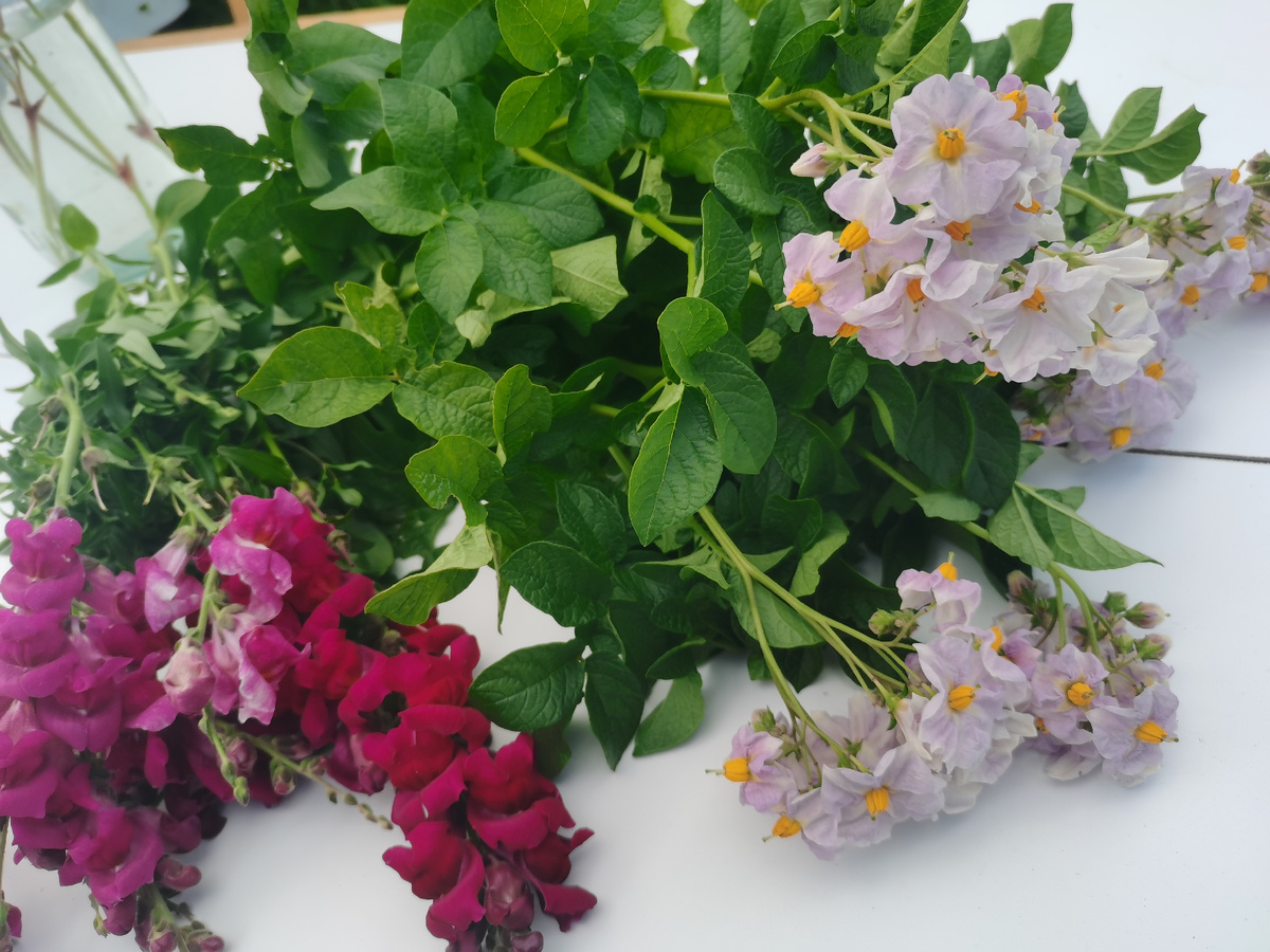 Прекрасная пара, я считаю