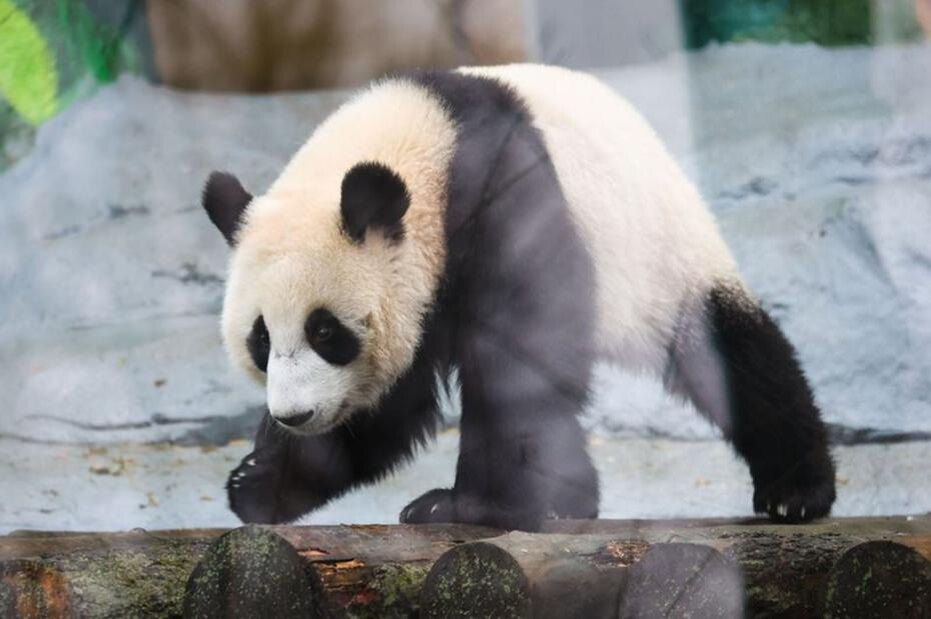    Алексей Белкин/NEWS.ru