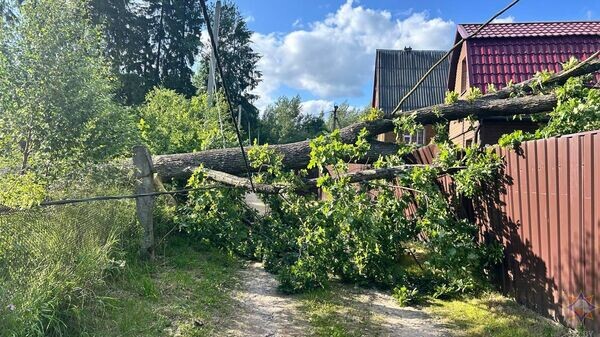    © Photo : МЧС Беларуси