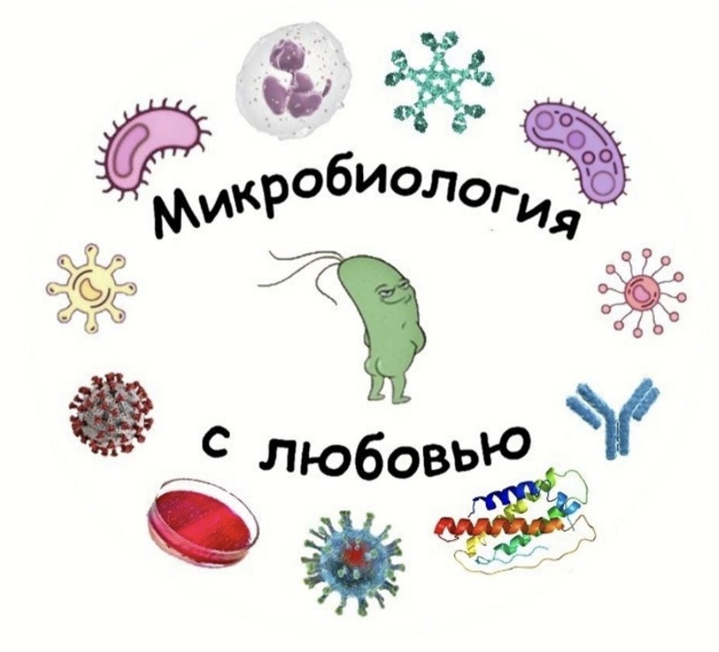 По этим вебинарам готовилась