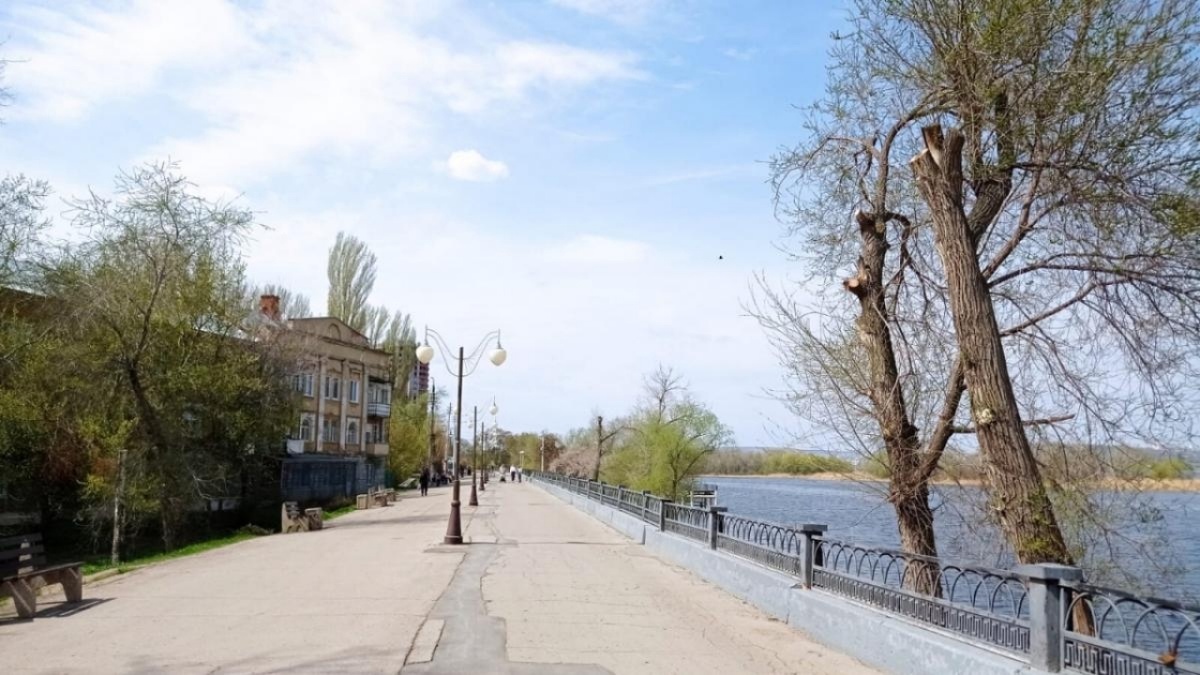    Трагедия в Энгельсе: возбуждено дело из-за отравления 3 детейНовости Саратова и области – Сетевое издание «Репортер64»