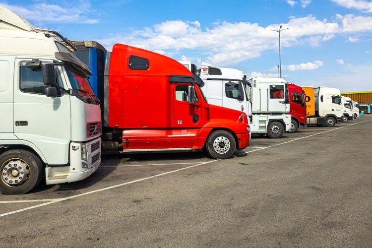 Фото: © Вячеслав Палес / Фотобанк Лори