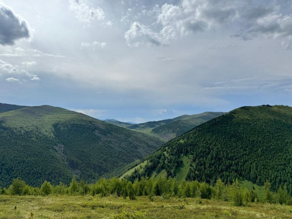    Летняя долина реки Аргут. Источник: t.me/sailugem