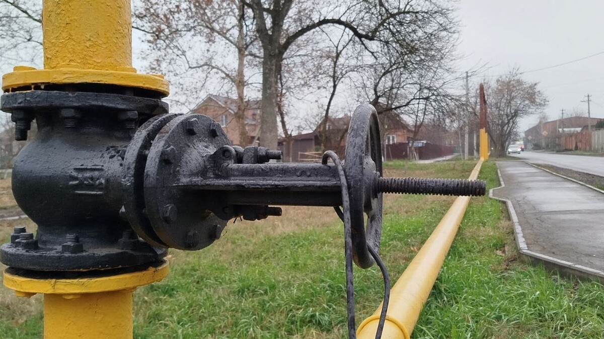    Фото: телеканал «Краснодар»