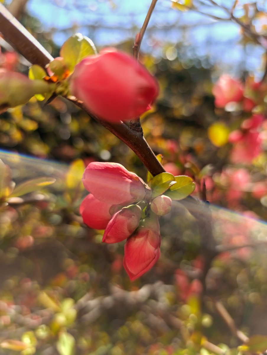 Крым прекрасен. Куда ни глянь - везде сочные цвета, яркие краски лета
