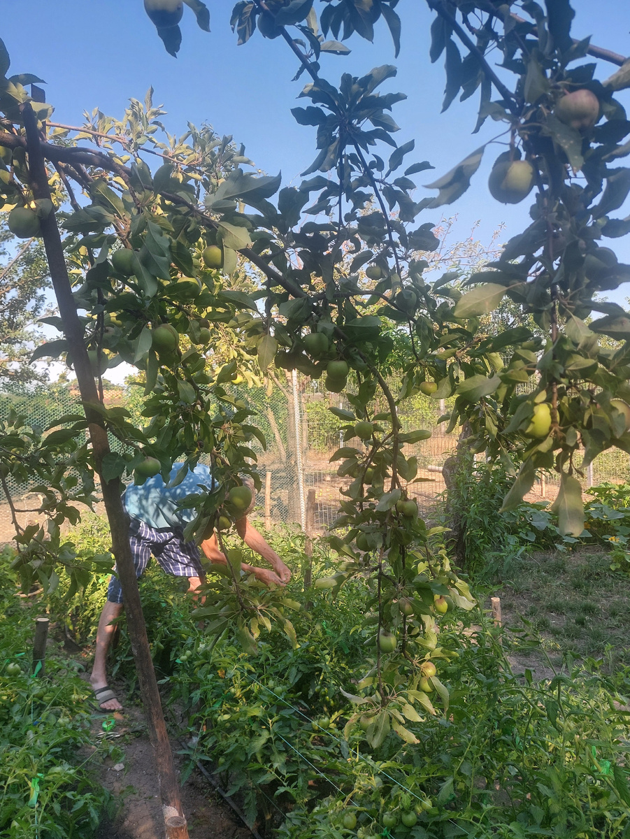 Фото автора