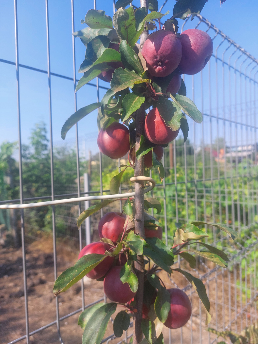 Фото автора