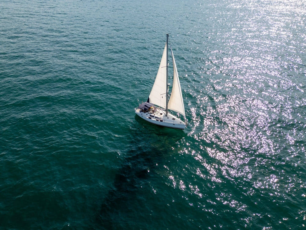 Фото: sandsun on Shutterstock