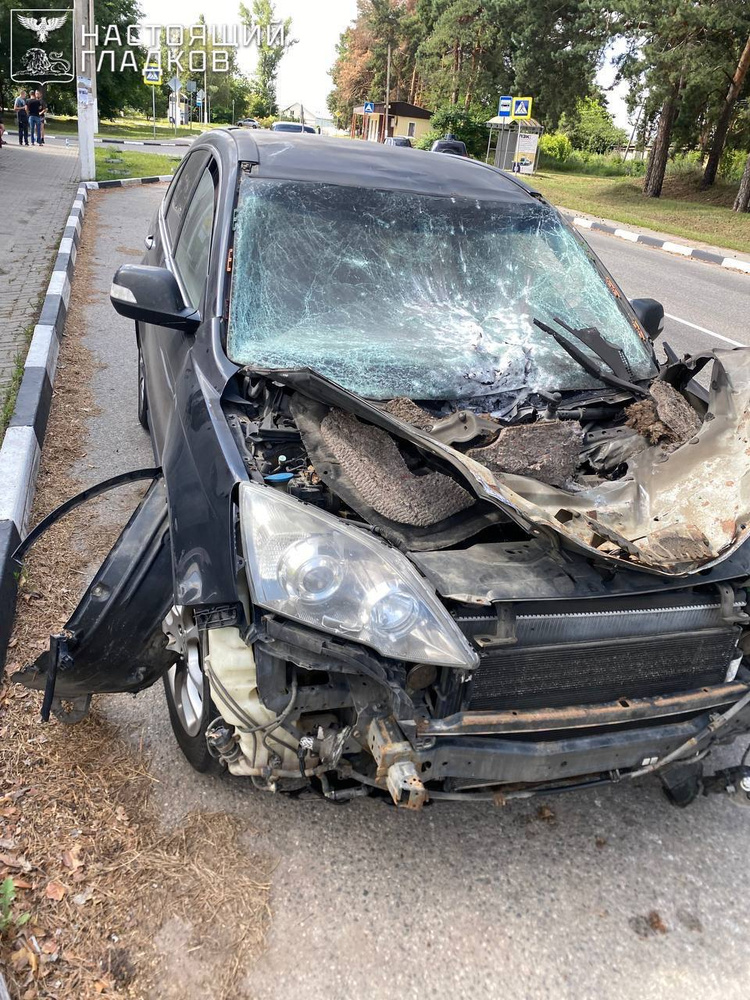    Telegram-канал Вячеслава Гладкова