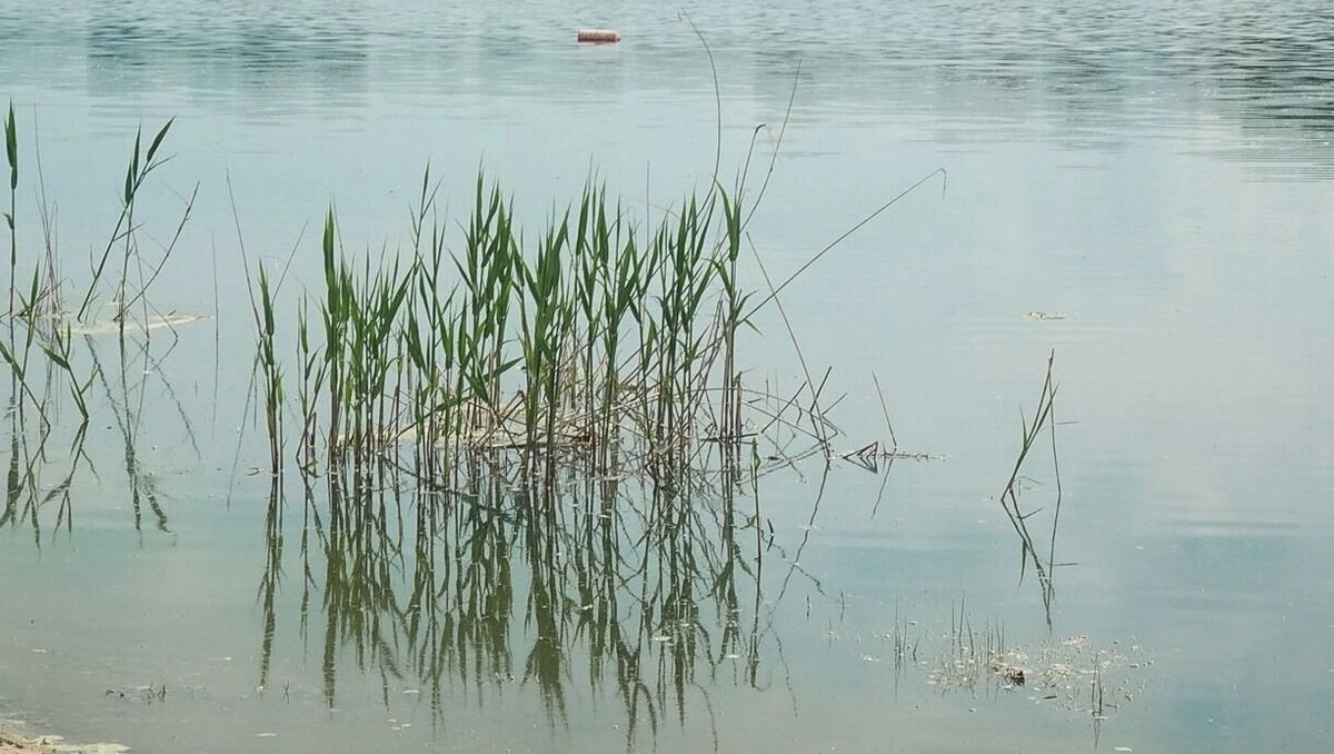     Источник: 1MI