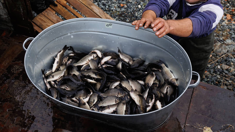 Фото: Марина Молдавская / Коммерсантъ