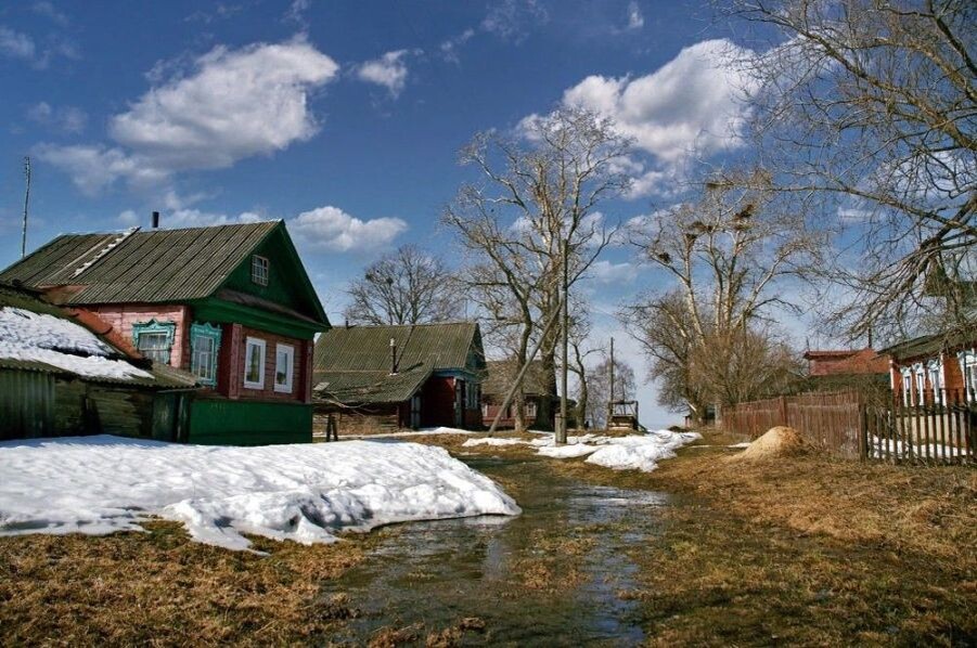 яндекс картинки