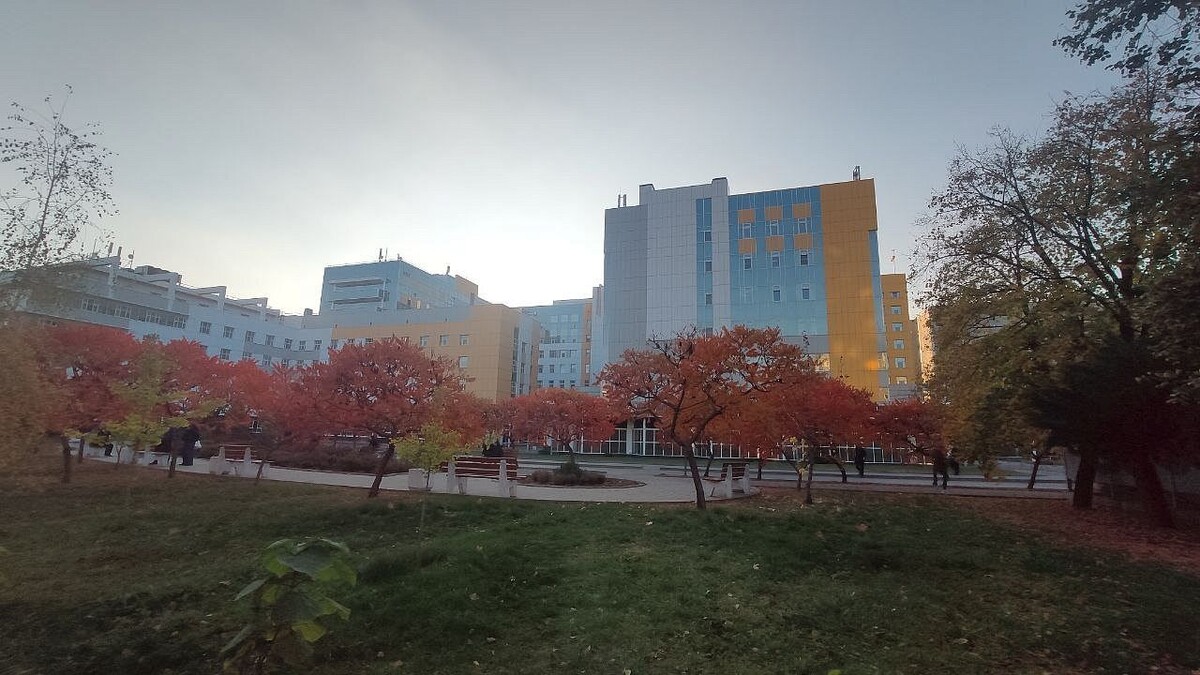    Фото: телеканал «Краснодар»