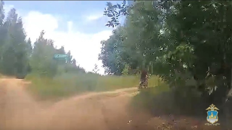    Фото: пресс-служба УМВД России по Костромской области