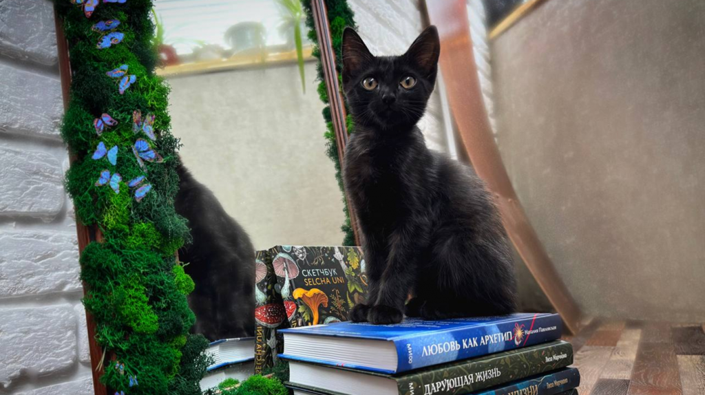     Книжный апокалипсис, или Как мы опустошили МИФ Антон Бахарев