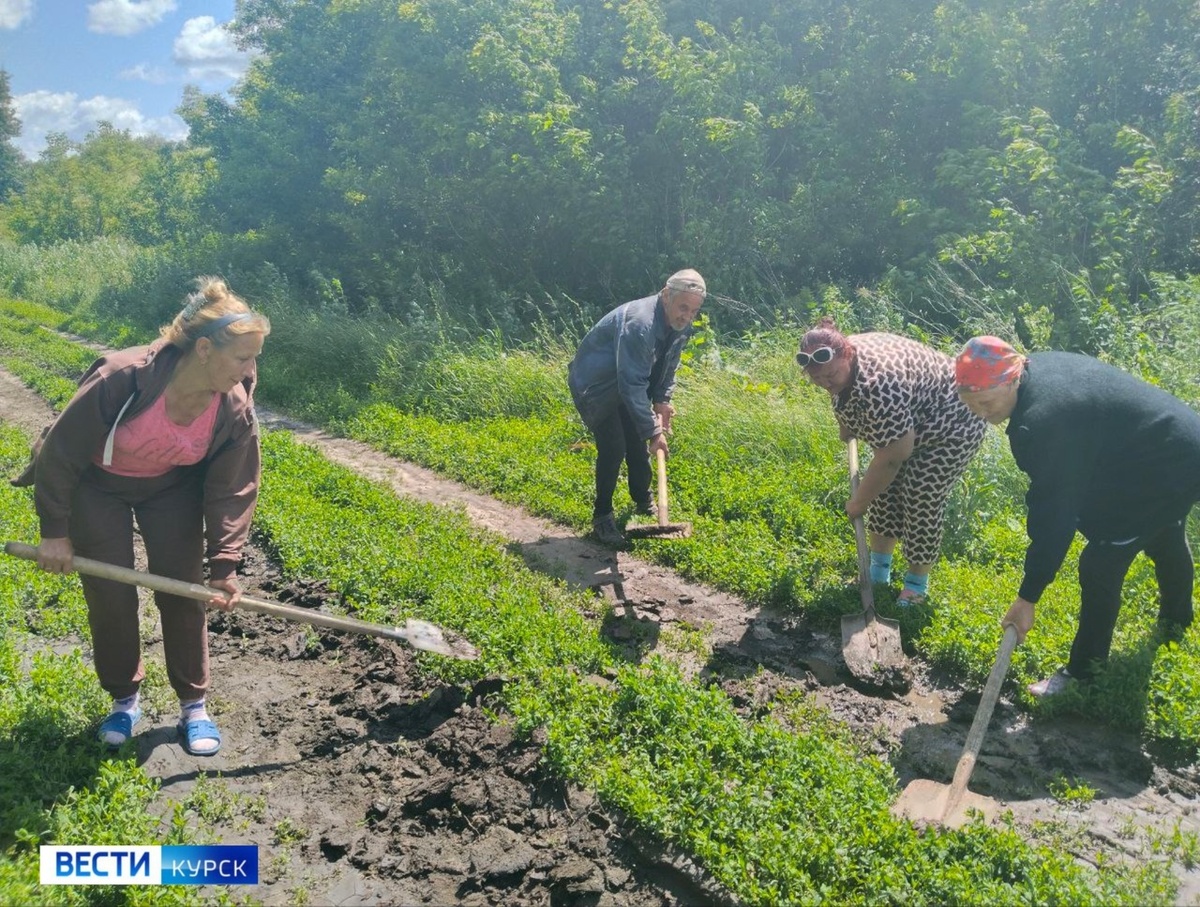    Не дождались: жители хутора Свиридов Курской области вышли на «дорожные» работы