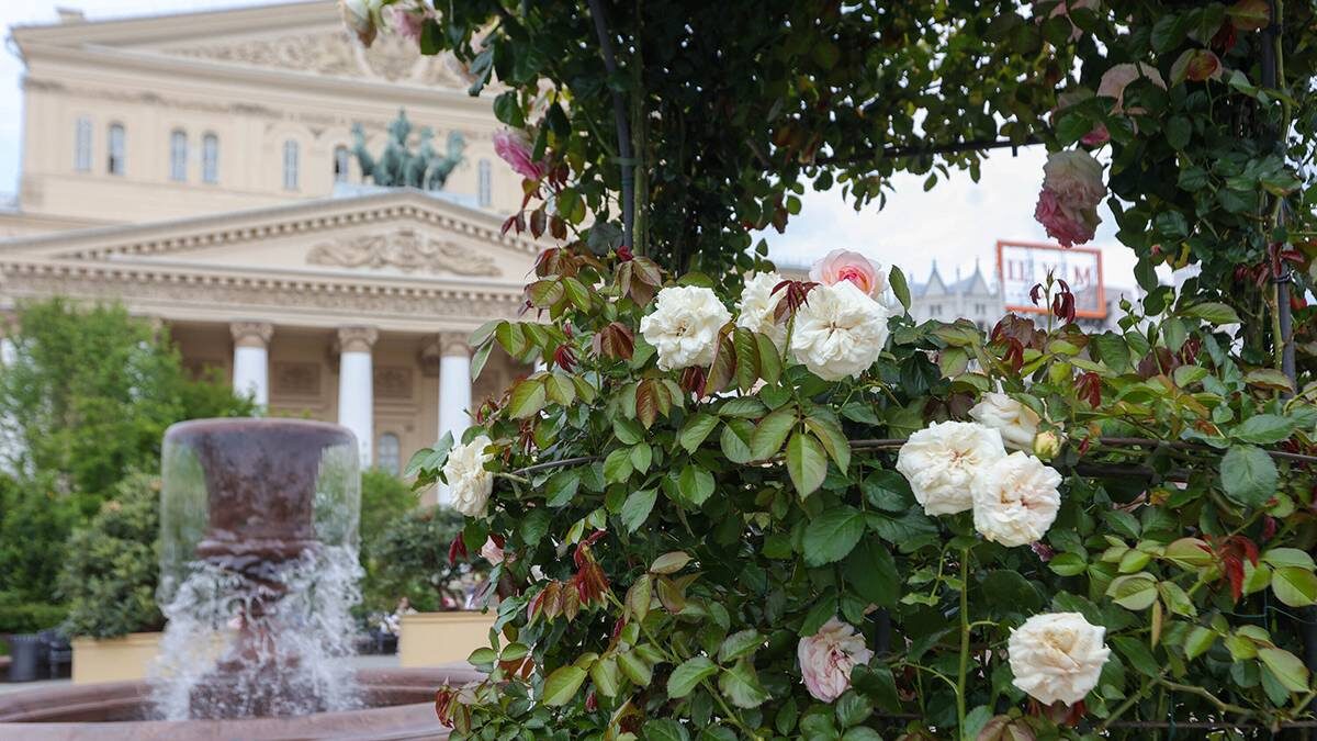    Фото: Дмитрий Белицкий / АГН Москва