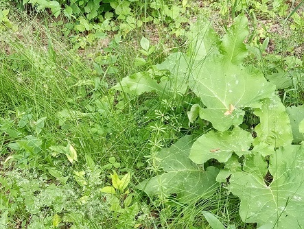 Фотография из личного архива автора