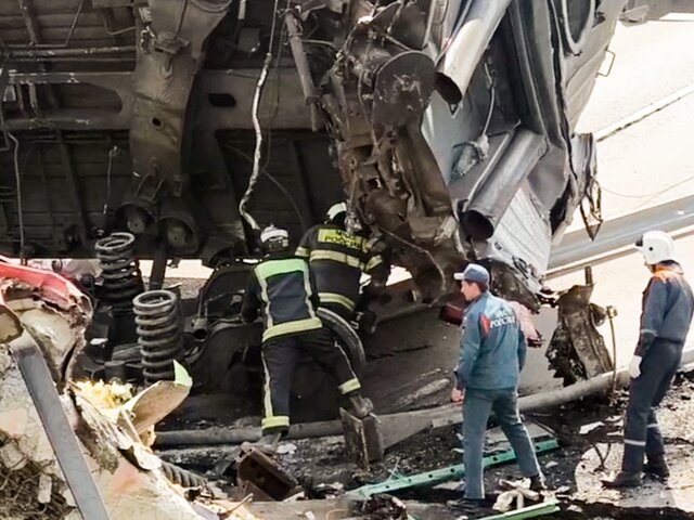    Фото: ТАСС/МЧС России