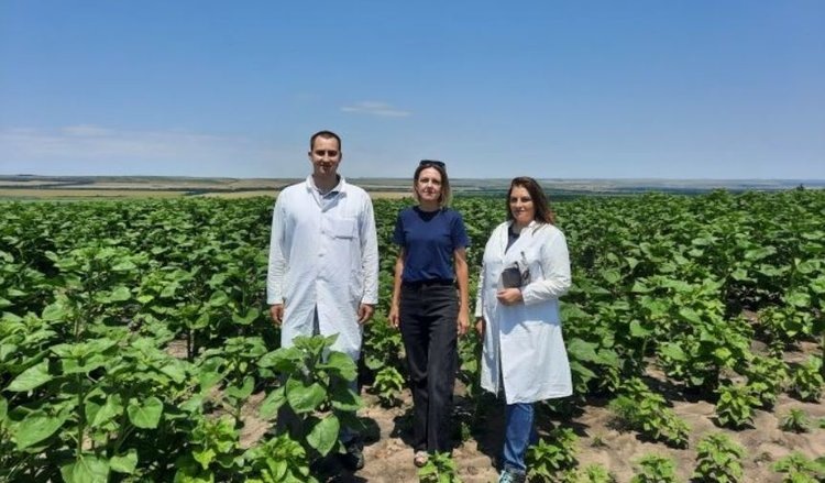    Фото: Пресс служба филиала ФГБУ Россельхозцентр по Ставропольскому краю