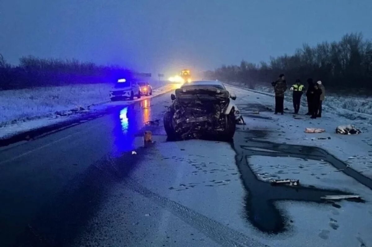   Виновнику смертельного ДТП в Оренбуржье вынесли приговор