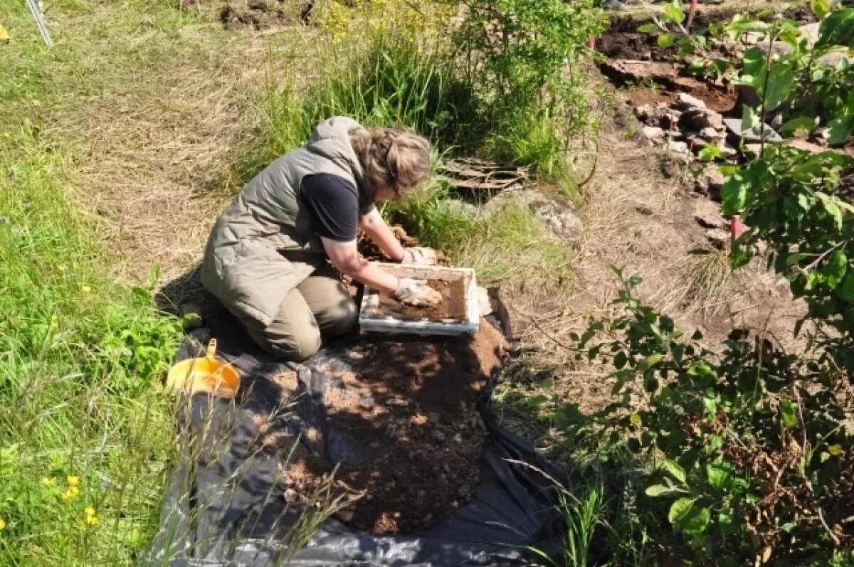    Завершены работы на могильнике на Ворониной горе рядом со Старым Изборском