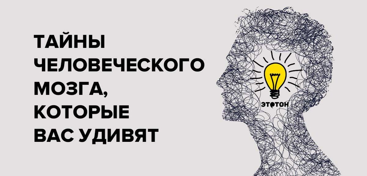 Тайны человеческого мозга: что учёные уже узнали и что ещё предстоит открыть