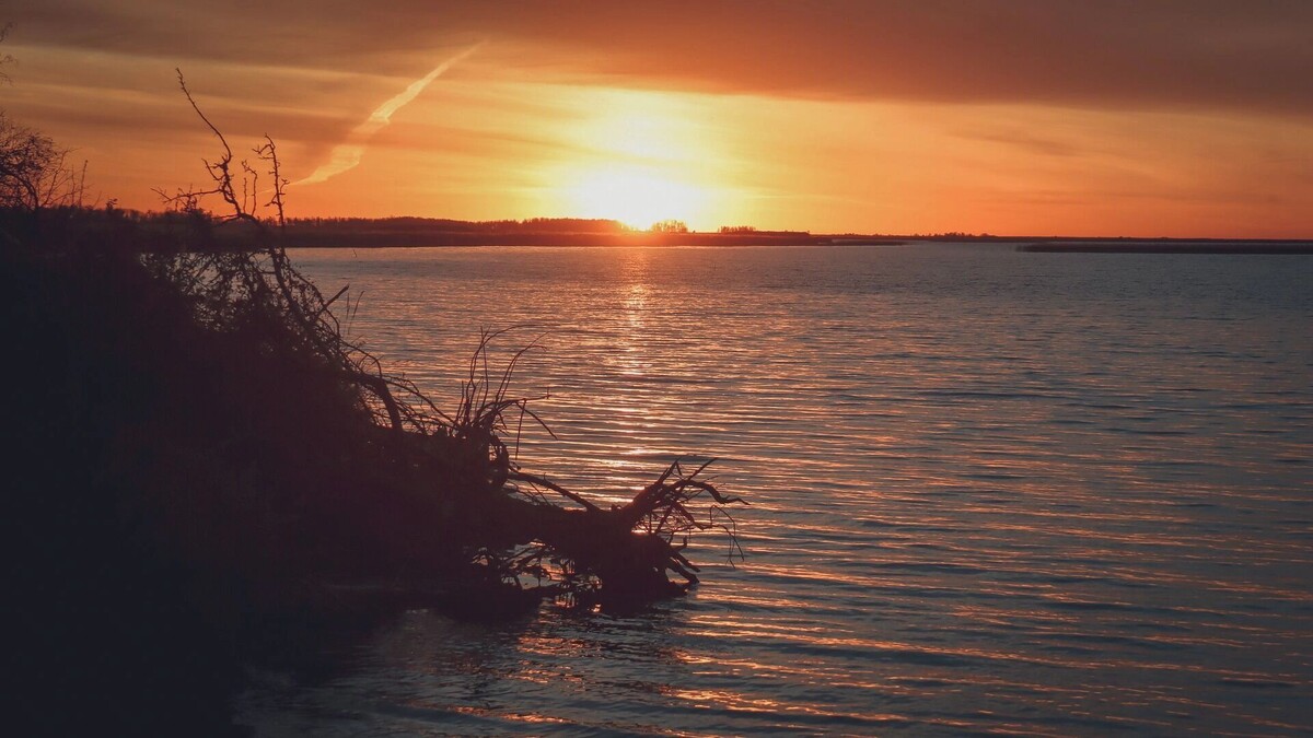     Источник: 1MI